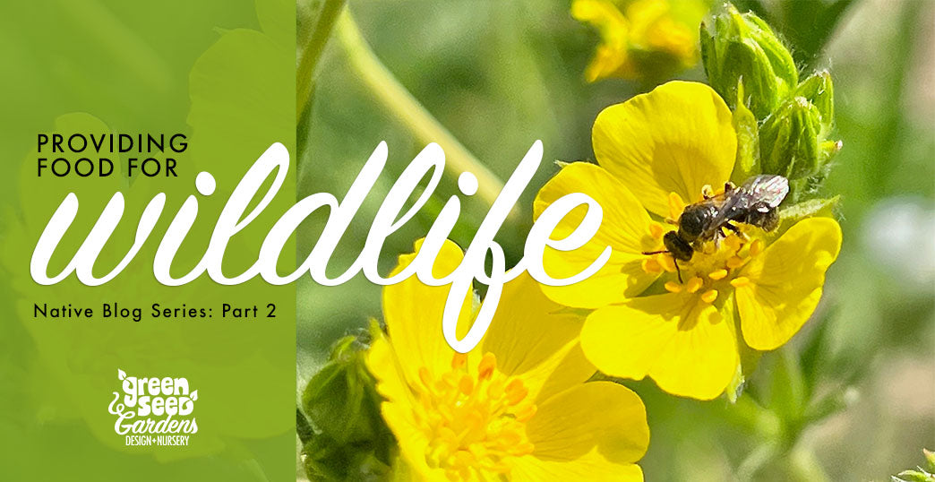 Oregon Native Plants - Part 2: Providing Food for Wildlife