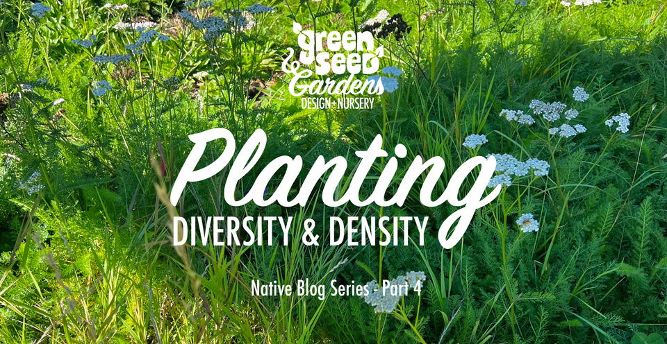 Oregon Native Plants - Part 4: Planting for Diversity and Density