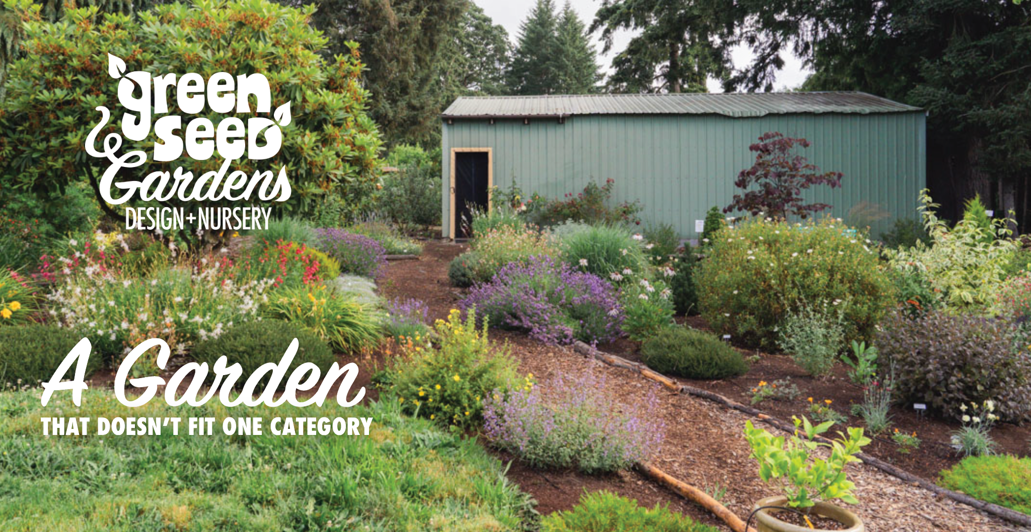 Designing a Mixed Garden for Pollinators, Native Plants, Edibles, and Year-Round Color
