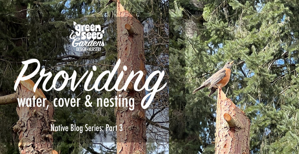 Oregon Native Plants - Part 3: Water, Cover and Nesting