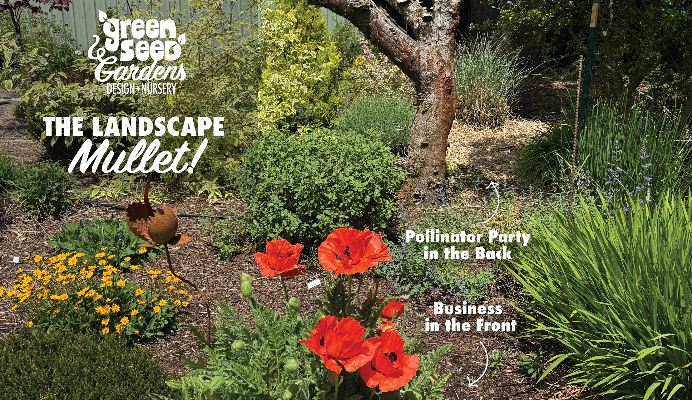 Mullets, But Make It Ecological: A Fresh Take on Yard Maintenance