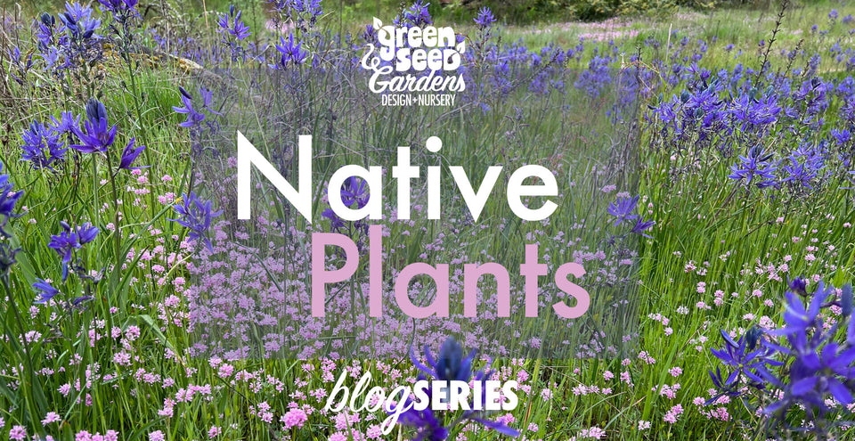 Oregon Native Plants - Part 1