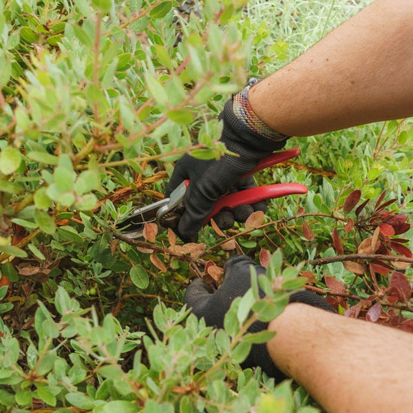Hands on Habitat Workshop