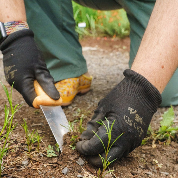 Hands on Habitat Workshop
