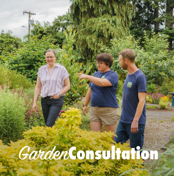 Garden Consultation